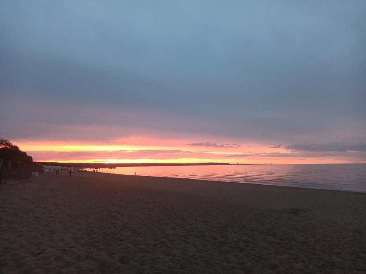 Apartamenty W Brzeznie Gdansk Dış mekan fotoğraf